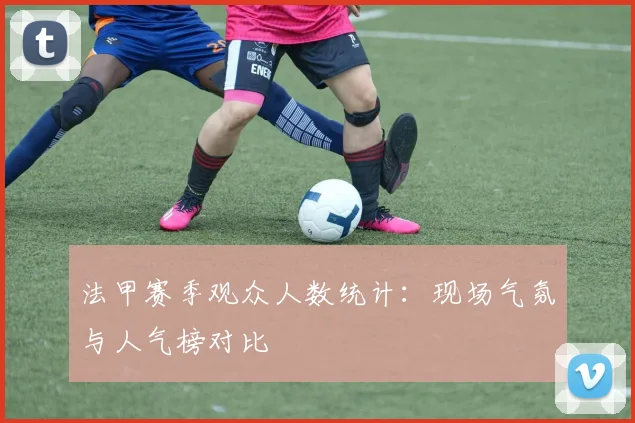 法甲赛季观众人数统计：现场气氛与人气榜对比