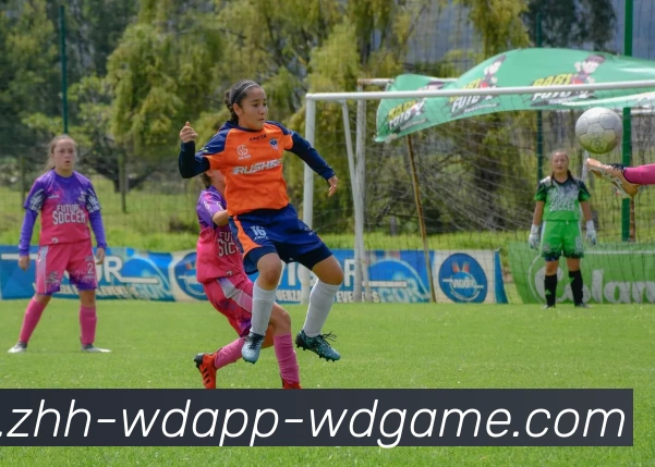 问鼎娱乐服务体系