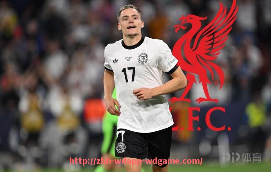 问鼎娱乐官网-法甲外援签约情况深度分析:潜力型与即战力的分布对照